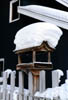 A little snow on the bird house in our backyard