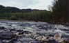 Rapids @ Disappointment Creek