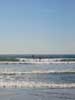 Surfin