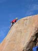 made it to the top