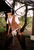 Cowboy Torsten