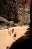 The Narrows